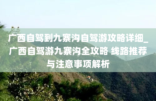 广西自驾到九寨沟自驾游攻略详细_广西自驾游九寨沟全攻略 线路推荐与注意事项解析