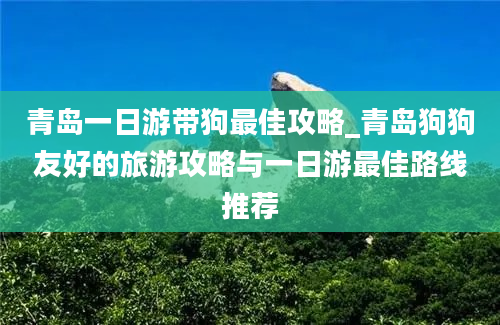 青岛一日游带狗最佳攻略_青岛狗狗友好的旅游攻略与一日游最佳路线推荐