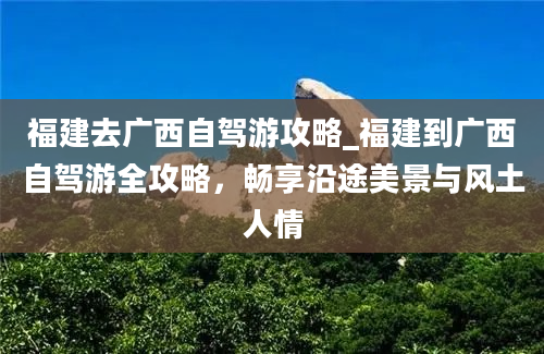 福建去广西自驾游攻略_福建到广西自驾游全攻略，畅享沿途美景与风土人情