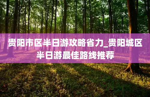 贵阳市区半日游攻略省力_贵阳城区半日游最佳路线推荐