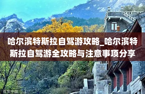 哈尔滨特斯拉自驾游攻略_哈尔滨特斯拉自驾游全攻略与注意事项分享