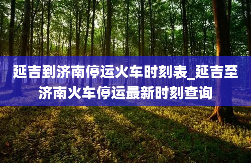 延吉到济南停运火车时刻表_延吉至济南火车停运最新时刻查询