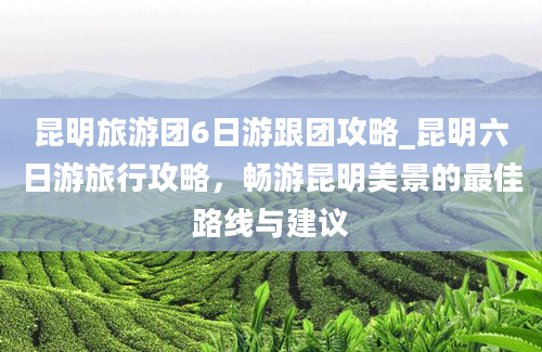 昆明旅游团6日游跟团攻略_昆明六日游旅行攻略，畅游昆明美景的最佳路线与建议