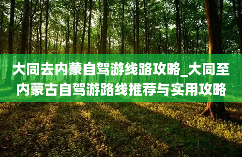 大同去内蒙自驾游线路攻略_大同至内蒙古自驾游路线推荐与实用攻略