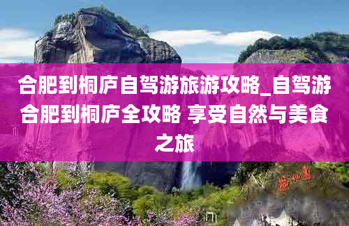 合肥到桐庐自驾游旅游攻略_自驾游合肥到桐庐全攻略 享受自然与美食之旅