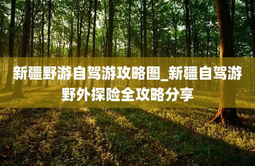 新疆野游自驾游攻略图_新疆自驾游野外探险全攻略分享