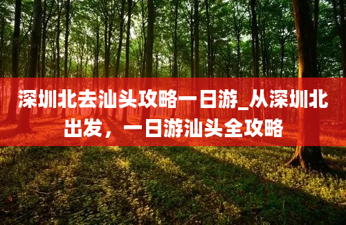 深圳北去汕头攻略一日游_从深圳北出发，一日游汕头全攻略