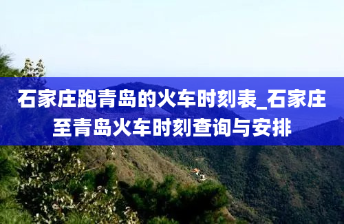 石家庄跑青岛的火车时刻表_石家庄至青岛火车时刻查询与安排