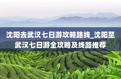 沈阳去武汉七日游攻略路线_沈阳至武汉七日游全攻略及线路推荐