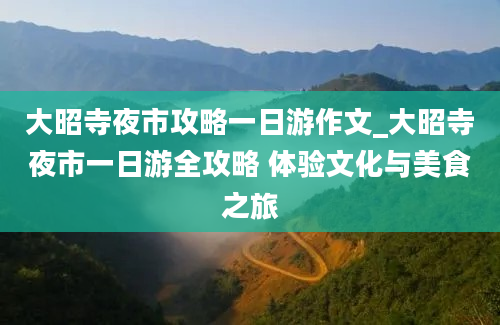 大昭寺夜市攻略一日游作文_大昭寺夜市一日游全攻略 体验文化与美食之旅