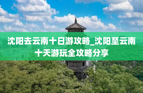 沈阳去云南十日游攻略_沈阳至云南十天游玩全攻略分享