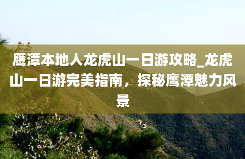 鹰潭本地人龙虎山一日游攻略_龙虎山一日游完美指南，探秘鹰潭魅力风景