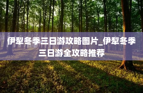 伊犁冬季三日游攻略图片_伊犁冬季三日游全攻略推荐