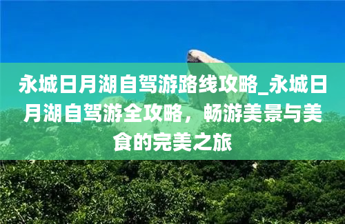 永城日月湖自驾游路线攻略_永城日月湖自驾游全攻略，畅游美景与美食的完美之旅