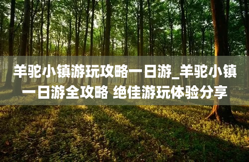 羊驼小镇游玩攻略一日游_羊驼小镇一日游全攻略 绝佳游玩体验分享