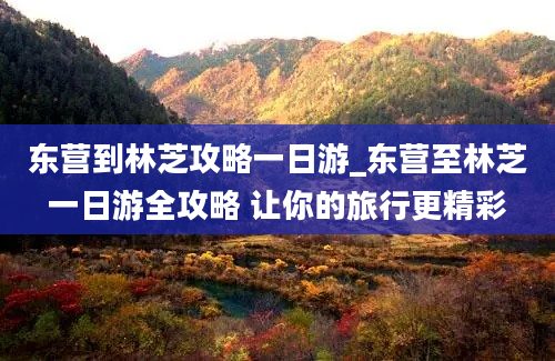 东营到林芝攻略一日游_东营至林芝一日游全攻略 让你的旅行更精彩