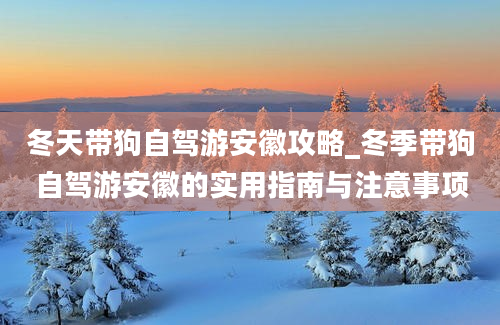 冬天带狗自驾游安徽攻略_冬季带狗自驾游安徽的实用指南与注意事项