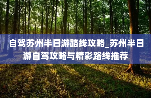 自驾苏州半日游路线攻略_苏州半日游自驾攻略与精彩路线推荐