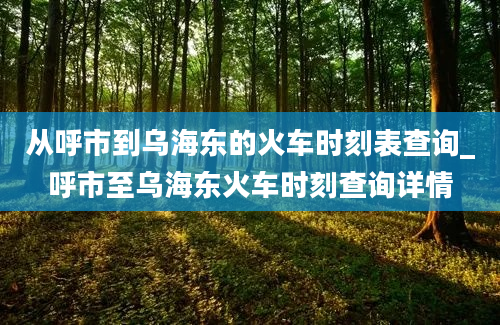 从呼市到乌海东的火车时刻表查询_呼市至乌海东火车时刻查询详情