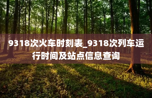 9318次火车时刻表_9318次列车运行时间及站点信息查询