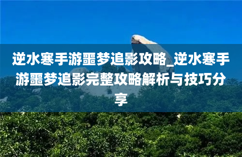 逆水寒手游噩梦追影攻略_逆水寒手游噩梦追影完整攻略解析与技巧分享