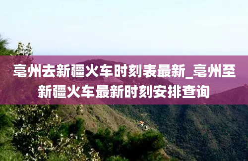 亳州去新疆火车时刻表最新_亳州至新疆火车最新时刻安排查询