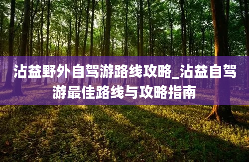 沾益野外自驾游路线攻略_沾益自驾游最佳路线与攻略指南