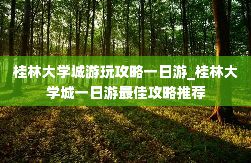 桂林大学城游玩攻略一日游_桂林大学城一日游最佳攻略推荐