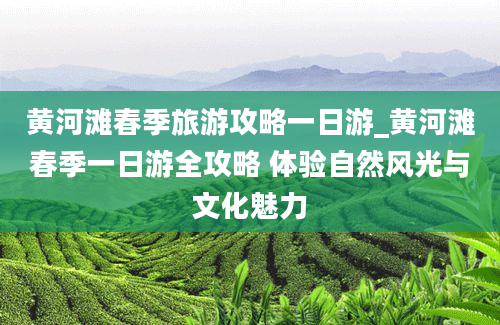 黄河滩春季旅游攻略一日游_黄河滩春季一日游全攻略 体验自然风光与文化魅力