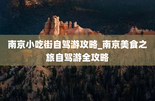 南京小吃街自驾游攻略_南京美食之旅自驾游全攻略