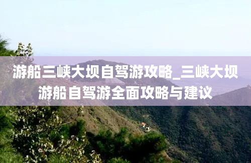 游船三峡大坝自驾游攻略_三峡大坝游船自驾游全面攻略与建议