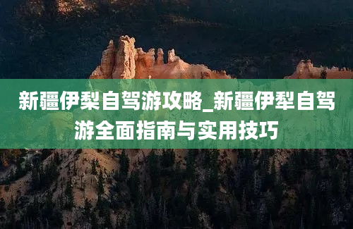 新疆伊梨自驾游攻略_新疆伊犁自驾游全面指南与实用技巧