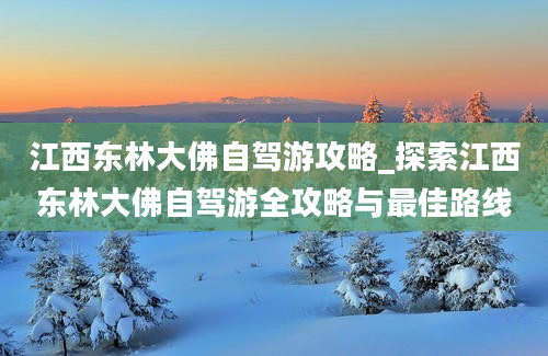 江西东林大佛自驾游攻略_探索江西东林大佛自驾游全攻略与最佳路线