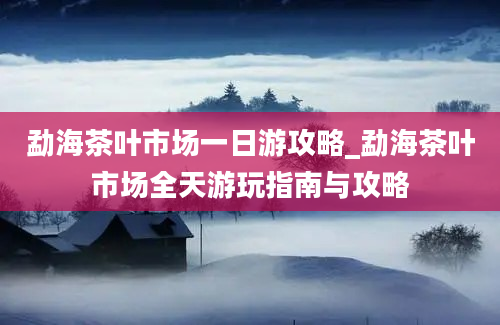 勐海茶叶市场一日游攻略_勐海茶叶市场全天游玩指南与攻略