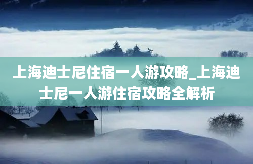 上海迪士尼住宿一人游攻略_上海迪士尼一人游住宿攻略全解析