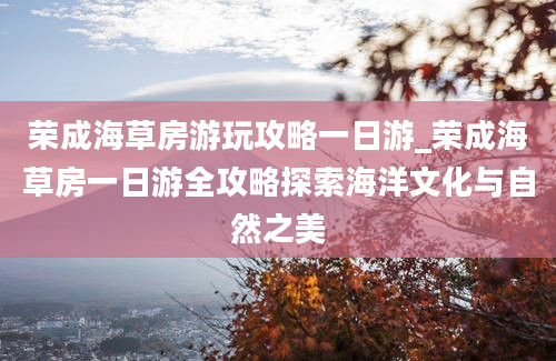 荣成海草房游玩攻略一日游_荣成海草房一日游全攻略探索海洋文化与自然之美