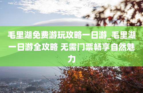 毛里湖免费游玩攻略一日游_毛里湖一日游全攻略 无需门票畅享自然魅力