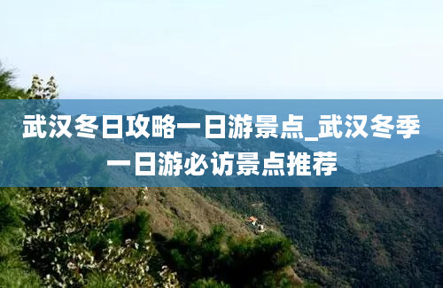 武汉冬日攻略一日游景点_武汉冬季一日游必访景点推荐