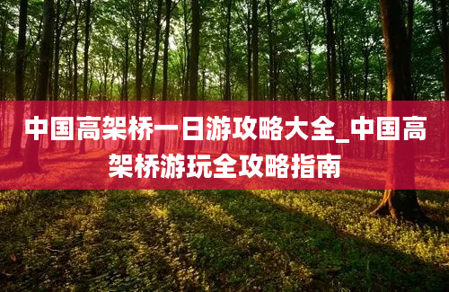 中国高架桥一日游攻略大全_中国高架桥游玩全攻略指南