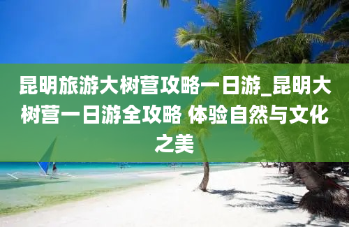 昆明旅游大树营攻略一日游_昆明大树营一日游全攻略 体验自然与文化之美