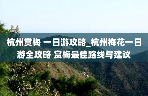 杭州赏梅 一日游攻略_杭州梅花一日游全攻略 赏梅最佳路线与建议