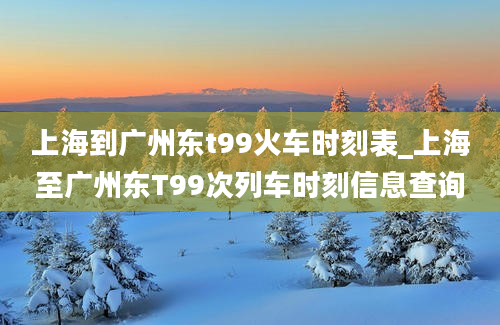 上海到广州东t99火车时刻表_上海至广州东T99次列车时刻信息查询