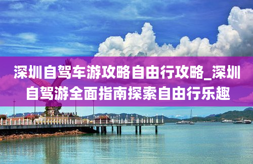 深圳自驾车游攻略自由行攻略_深圳自驾游全面指南探索自由行乐趣