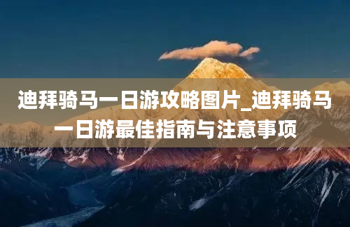 迪拜骑马一日游攻略图片_迪拜骑马一日游最佳指南与注意事项