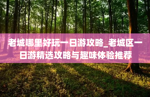 老城哪里好玩一日游攻略_老城区一日游精选攻略与趣味体验推荐