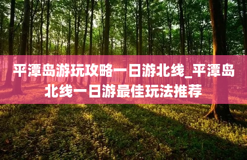 平潭岛游玩攻略一日游北线_平潭岛北线一日游最佳玩法推荐