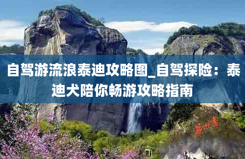 自驾游流浪泰迪攻略图_自驾探险：泰迪犬陪你畅游攻略指南