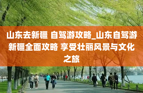 山东去新疆 自驾游攻略_山东自驾游新疆全面攻略 享受壮丽风景与文化之旅