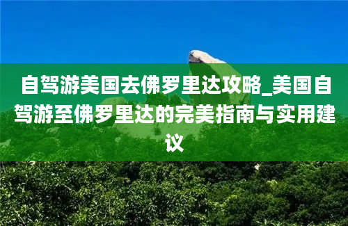 自驾游美国去佛罗里达攻略_美国自驾游至佛罗里达的完美指南与实用建议