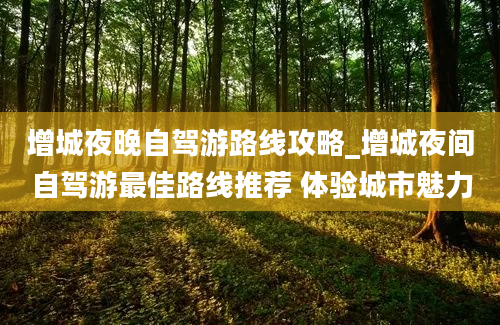 增城夜晚自驾游路线攻略_增城夜间自驾游最佳路线推荐 体验城市魅力